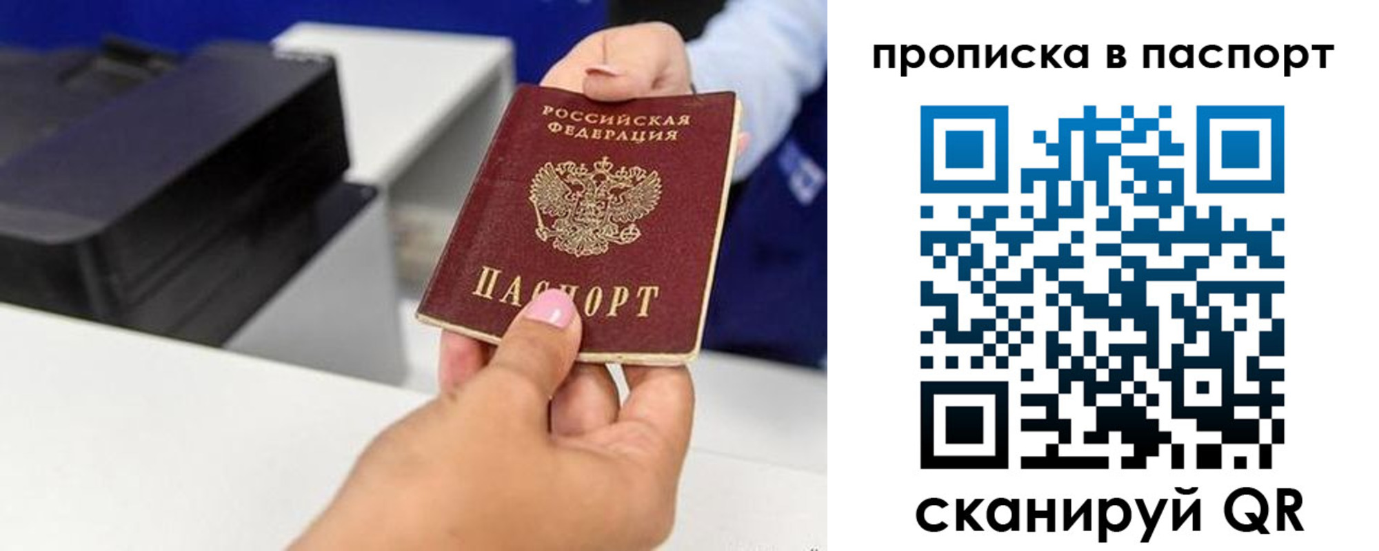 прописка поиск в Кохме